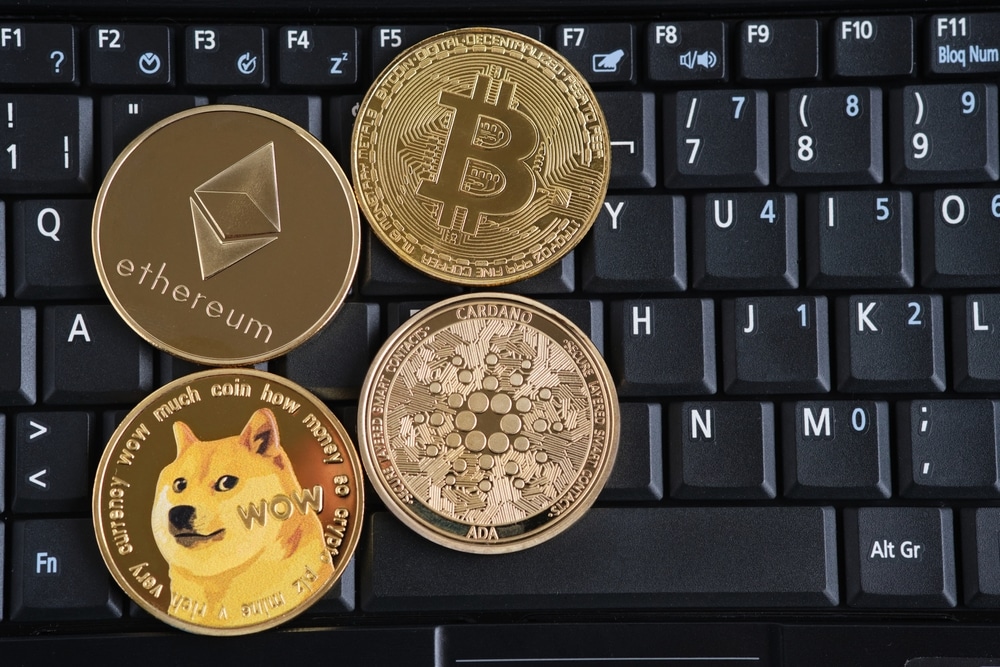 World wide chain featured image